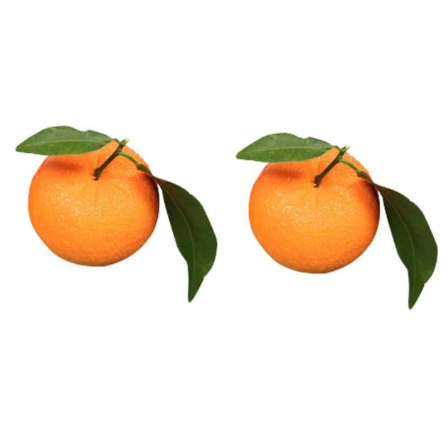 Moule Entremet Mini Orange 